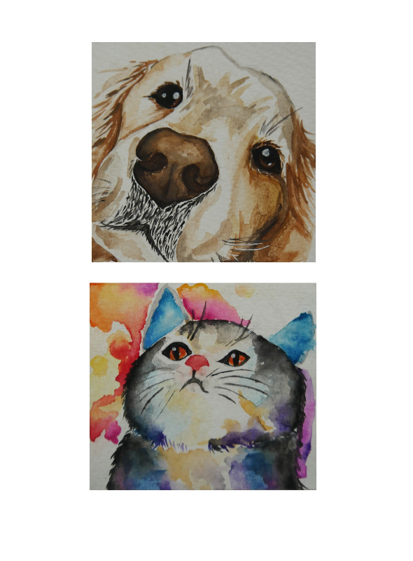 DSCI4605   Kopie (7)